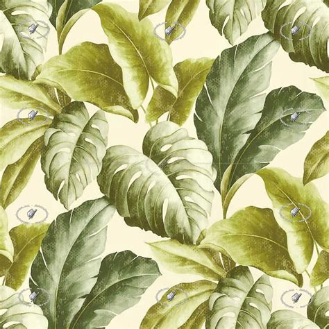 Tropical leaves wallpaper texture seamless 20935