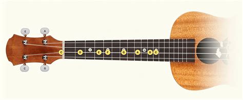 Every Ukulele Scale you can Think Off • UkuTabs