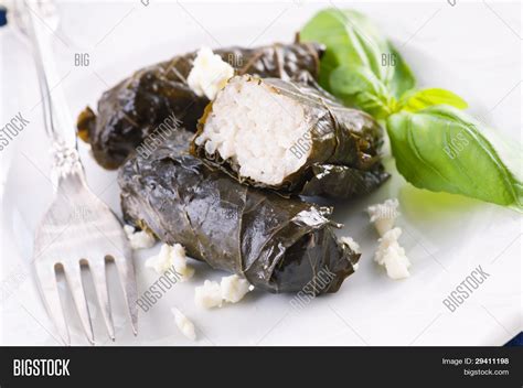 Dolma Stuffed Rice Image & Photo (Free Trial) | Bigstock