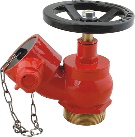 Iron Fire Fighting Landing Valve At Rs 3500 Khengrapatti Kolkata