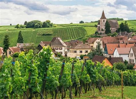 The best of Burgundy wine tours - The Good Life France