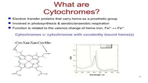 Cytochromes