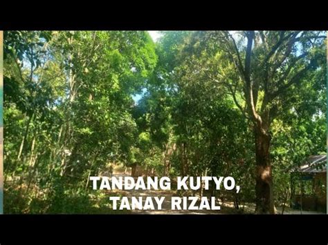 VIDEO 162 37 HECTARES FARM TANDANG KUTYO TANAY RIZAL YouTube