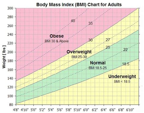 Bariatric Bmi Chart