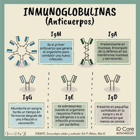 Inmunoglobulinas Id Core Biotechnology Medicina Veterinaria Cosas De