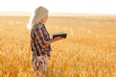 25 Fall Bible Verses About Harvest