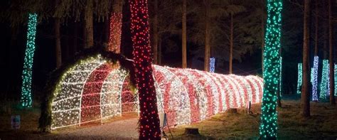 Christmas in the Garden - The Oregon Garden | Oregon garden, Oregon, Oregon waterfalls