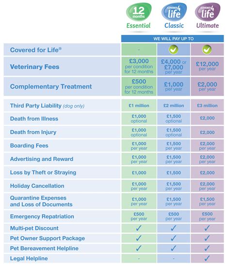 dog insurance usa dog insurances   difficult  choose     commitment