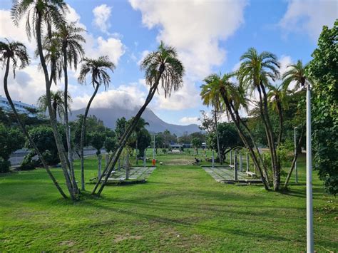 Prefeitura Do Rio Lança Edital Para A Concessão Do Jardim De Alah