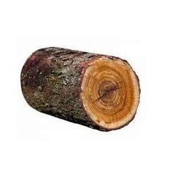 Neem Wood - Neem Wood Log Suppliers, Traders & Manufacturers