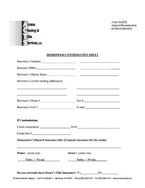 Fillable Online Borrower S Information Sheet Authorization Fax Email