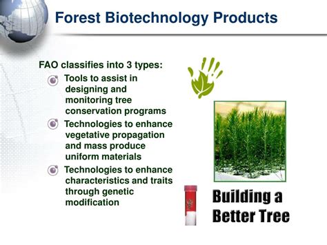 PPT - Forest Biotechnology PowerPoint Presentation, free download - ID ...