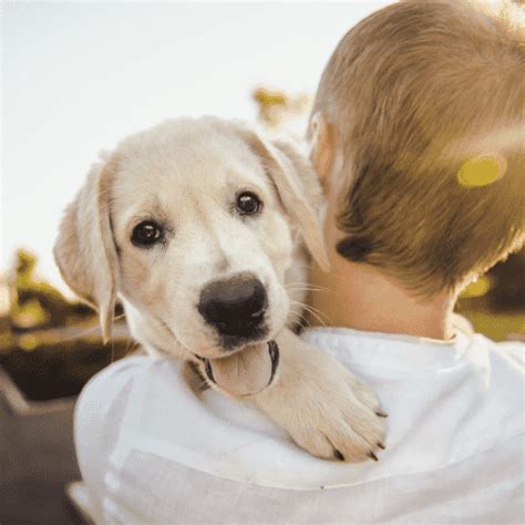 Nombres de países para perros Mi Mejor Amigo y Yo