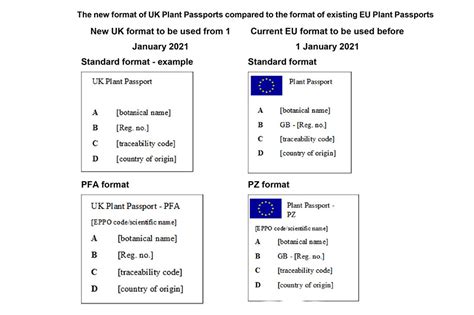 Defra Issues New Plant Passport Guidance HortWeek