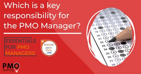 The Key Responsibilities Of A Pmo Manager Pmo Learning