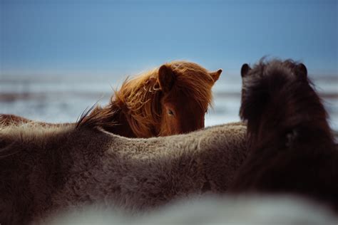 Free photo: Friends - Child, Children, Family - Free Download - Jooinn