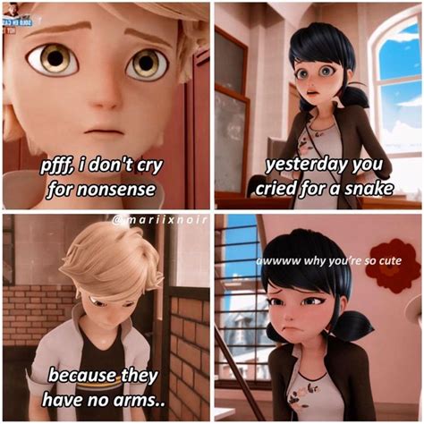 Pin By Norah Kinkhabwala On Quick Saves Miraculous Ladybug Memes Miraculous Ladybug Funny