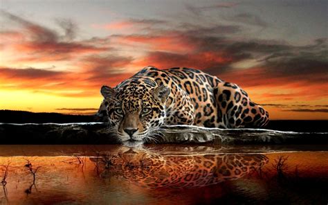 3D Mighty Leopard Wallpaper for Wall - Magic Decor