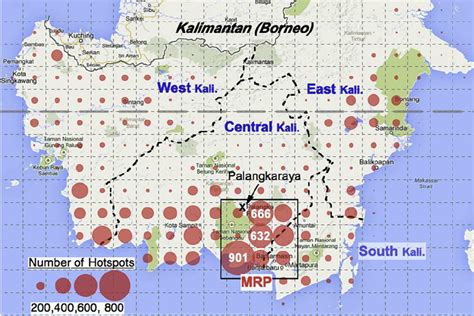 Location of Palangkaraya in Kalimantan and fi re (hotspot) distribution ...