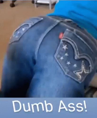 Dumb Ass Dumb Ass Discover Share GIFs
