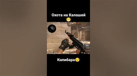 Капира/калашы #капибара #capibara #csgo #counterstrike #стример # ...