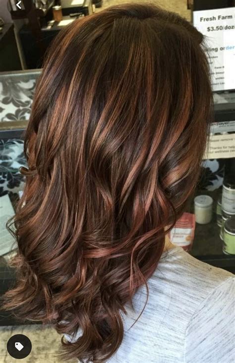 Ultimate Fall Winter Hair Color Trends Guide Artofit