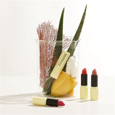 Makeup Lips Liptick Nude Brun Ecocentric