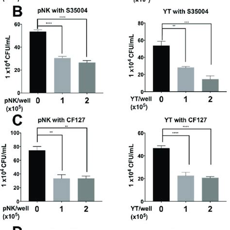 Pseudomonas aeruginosa strains and isolates used in this study ... 