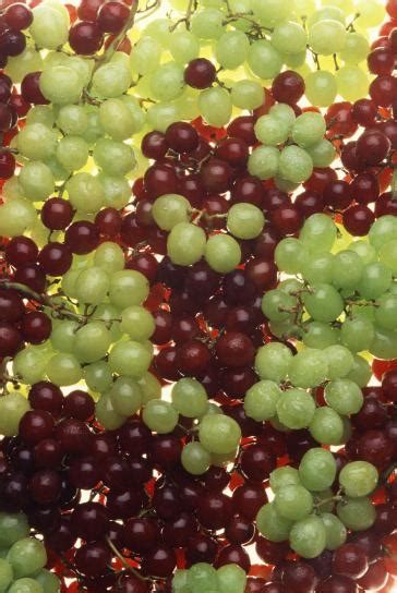 Free picture: green, red, grapes