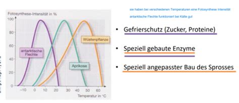 Kologie Flashcards Quizlet