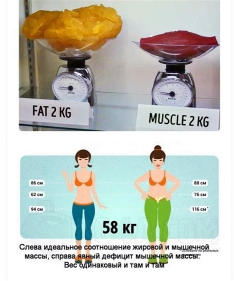 1 кг жира 1 кг мышц: ЦИФРОПОНЕДЕЛЬНИК: сколько весит 1 кг жира, или ...