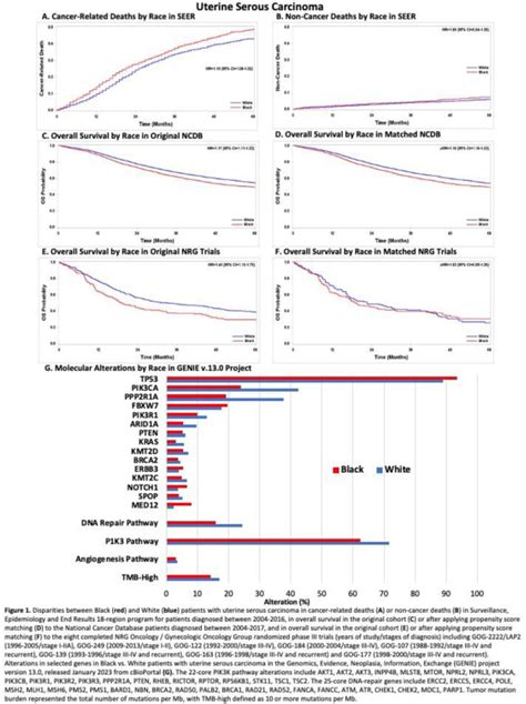 Racial Disparities In Survival And Molecular Features Among Black