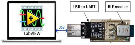 A picture of the manufactured USB-to-BLE module. | Download Scientific ...
