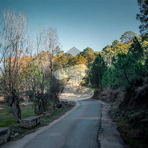 Farm House Land Available For Sale At Murree Resorts New Murree New