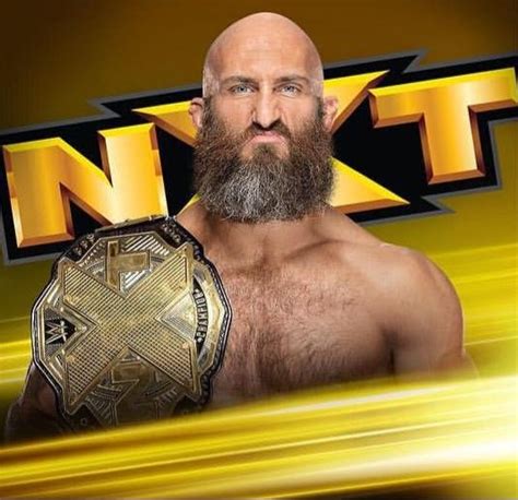 NXT Champion Tommaso Ciampa Wwe T, Professional Wrestler, Pro Wrestling ...