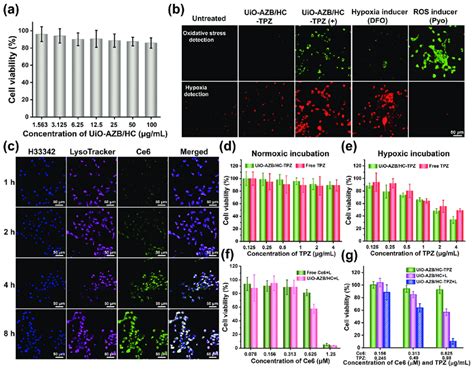 A Viability Of 4T1 Cells Treated With Different Concentrations Of