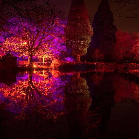 Lanterna Magica Symphonie DAutomne A Partir Du 20 Octobre