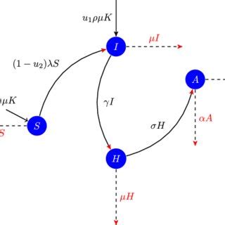 Flow diagram for HIV/AIDS transmission. | Download Scientific Diagram