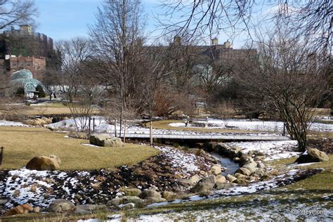 Winter at Brooklyn Botanic Garden | TravelGumbo