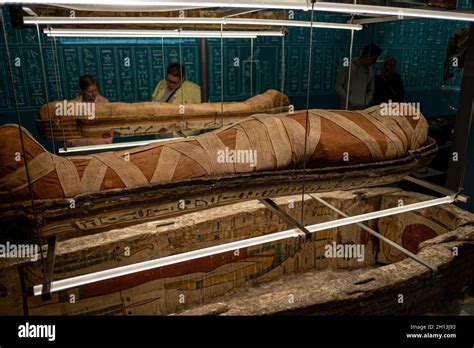 World Museum, Liverpool Stock Photo - Alamy