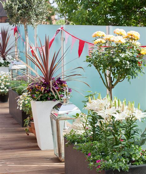 Roof Garden Ideas How To Design A Rooftop Garden Homes And Gardens