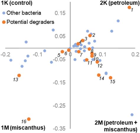 Preferential map of bacterial genera based on NGS (soil 1 vs soil 2 ...