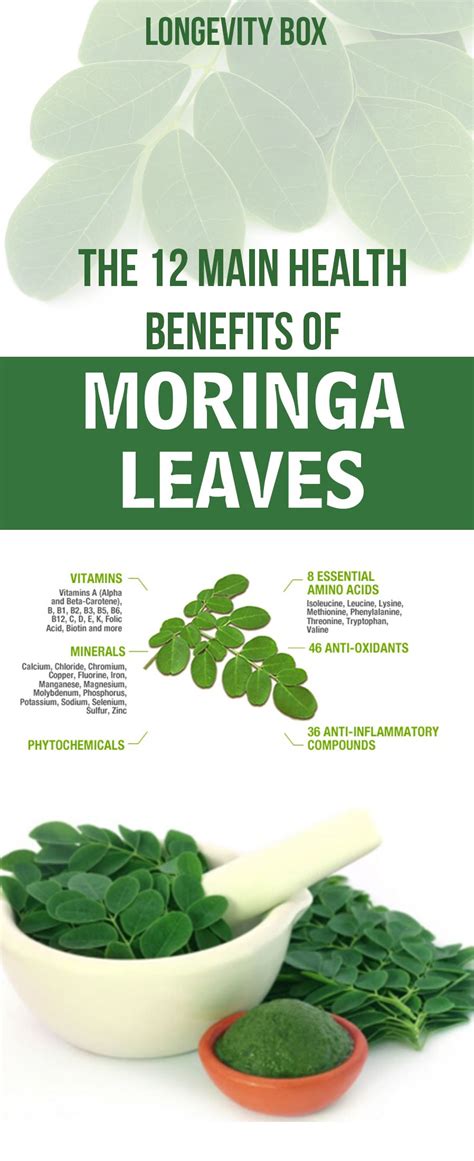 The 12 Main Health Benefits Of Moringa Leaves | Moringa, Benefits of ...