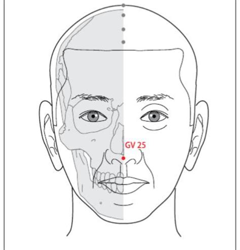 GV 25 Acupuncture Point Acupuncture Point Locations Review