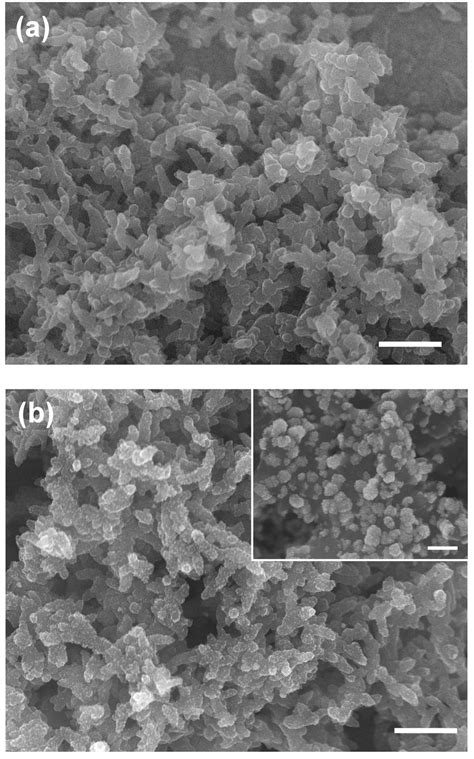 Sem Images Of Pani Nanorods A Before And B After Electrochemical