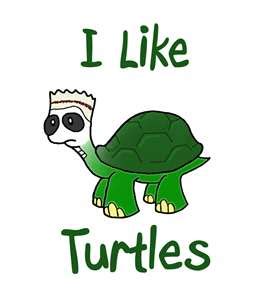 [Image - 181206] | I Like Turtles | Know Your Meme