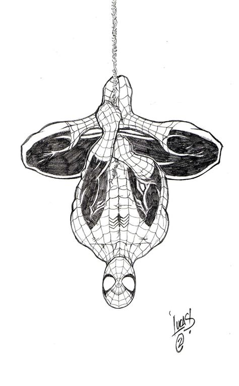 Black And White Spider Man Hanging Upside Down Drawing Sketch Coloring Page