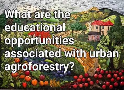 What Are The Educational Opportunities Associated With Urban