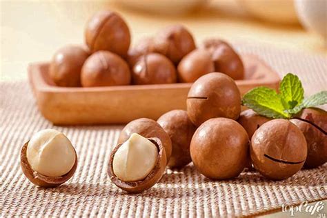 Самые дорогие орехи в мире: описание, полезные свойства, Фото