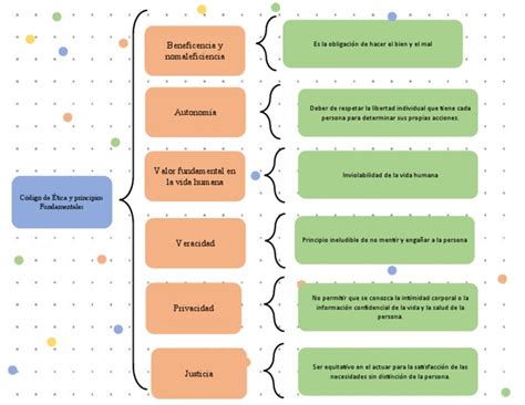 Codigo De Etica Y Principios Fundamentales Pdf